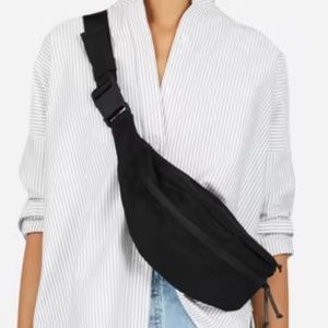 Everlane Renew Transit Fanny Pack